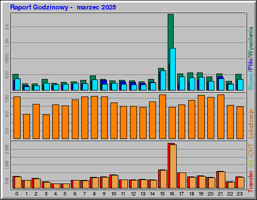 Raport Godzinowy -  marzec 2025