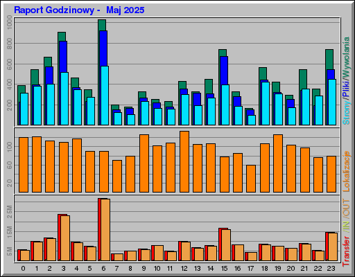 Raport Godzinowy -  Maj 2025