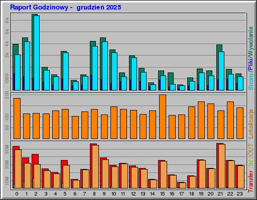 Raport Godzinowy -  grudzień 2025