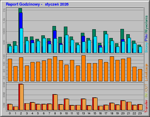 Raport Godzinowy -  styczeń 2026