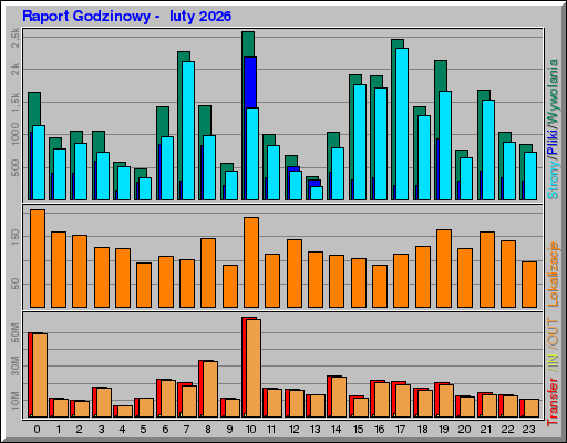 Raport Godzinowy -  luty 2026