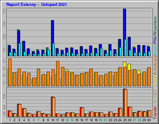 Raport Dzienny -  listopad 2021