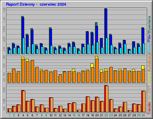 Raport Dzienny -  czerwiec 2024