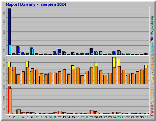 Raport Dzienny -  sierpień 2024