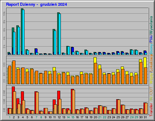 Raport Dzienny -  grudzień 2024