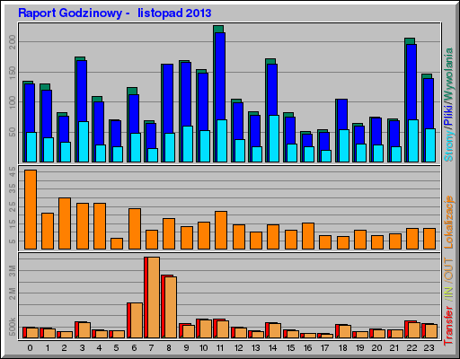 Raport Godzinowy -  listopad 2013
