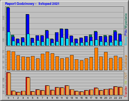 Raport Godzinowy -  listopad 2021