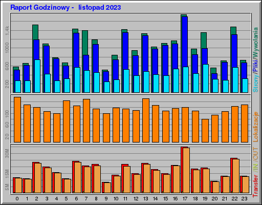 Raport Godzinowy -  listopad 2023