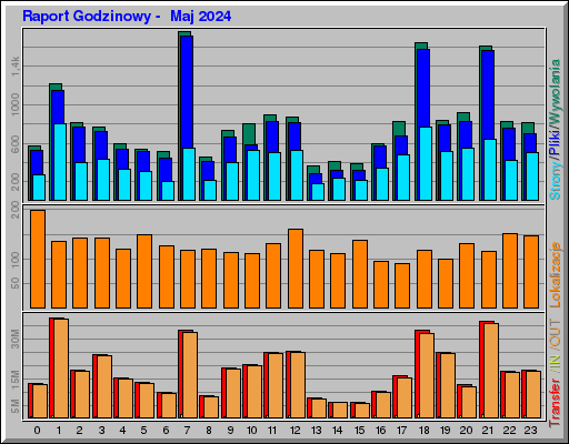 Raport Godzinowy -  Maj 2024