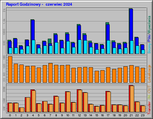 Raport Godzinowy -  czerwiec 2024