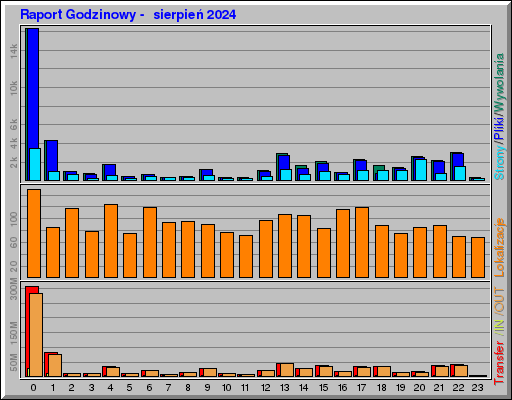 Raport Godzinowy -  sierpień 2024