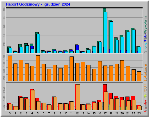 Raport Godzinowy -  grudzień 2024