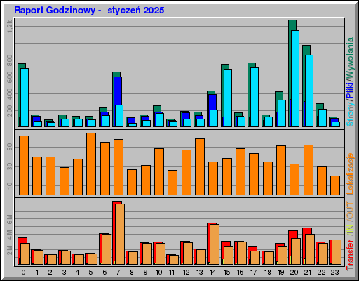 Raport Godzinowy -  styczeń 2025