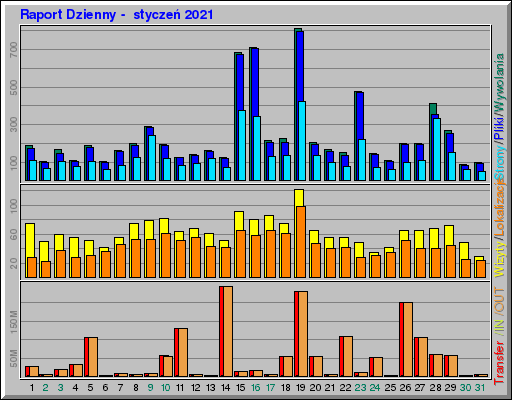Raport Dzienny -  styczeń 2021