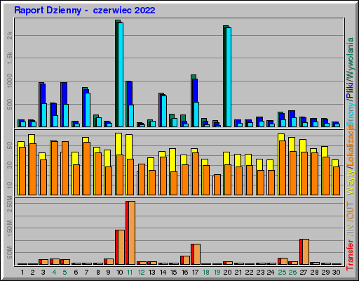 Raport Dzienny -  czerwiec 2022