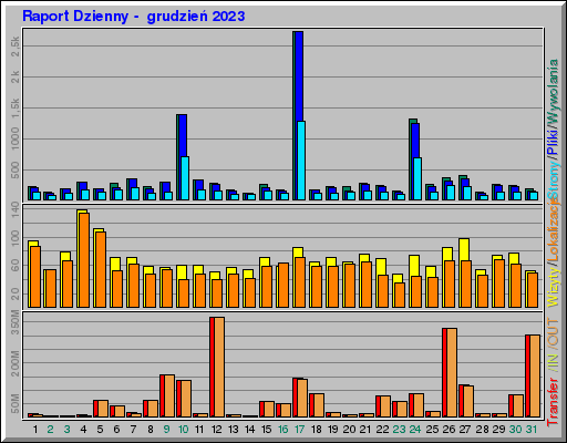 Raport Dzienny -  grudzień 2023