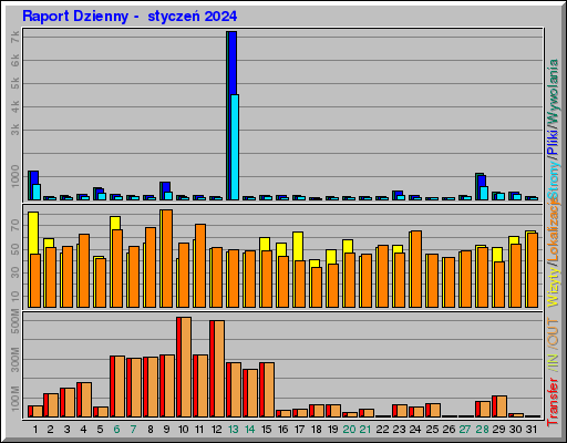 Raport Dzienny -  styczeń 2024
