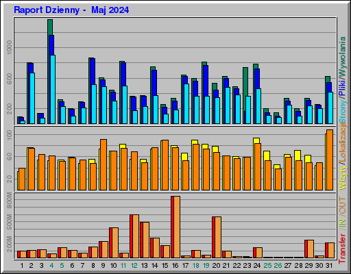 Raport Dzienny -  Maj 2024