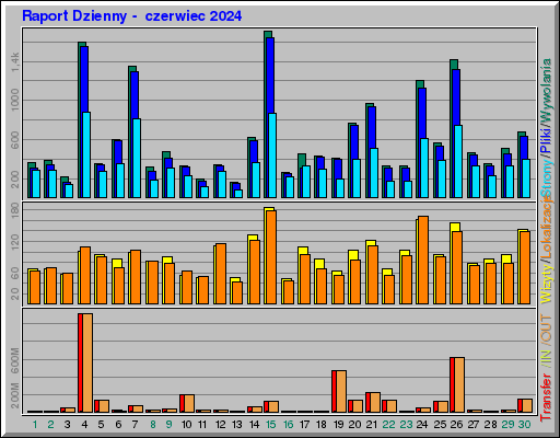 Raport Dzienny -  czerwiec 2024