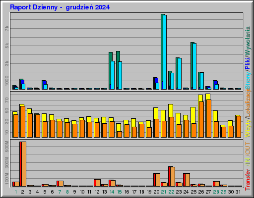 Raport Dzienny -  grudzień 2024