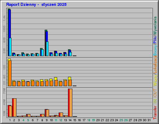 Raport Dzienny -  styczeń 2025