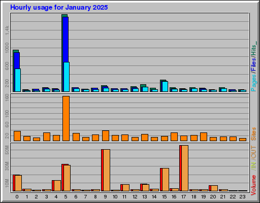 Raport Godzinowy -  styczeń 2025