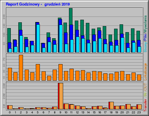 Raport Godzinowy -  grudzień 2019