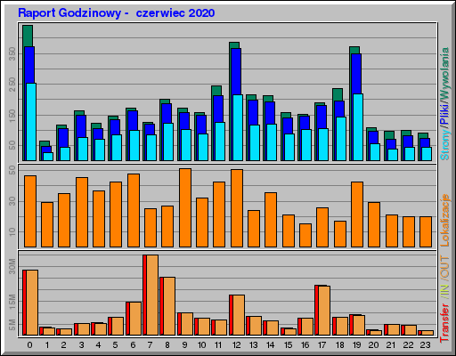 Raport Godzinowy -  czerwiec 2020