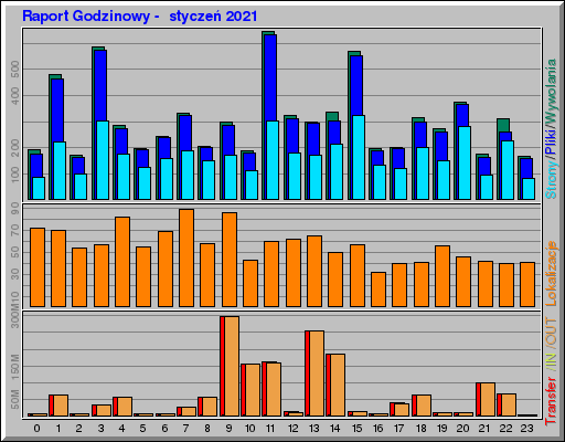 Raport Godzinowy -  styczeń 2021