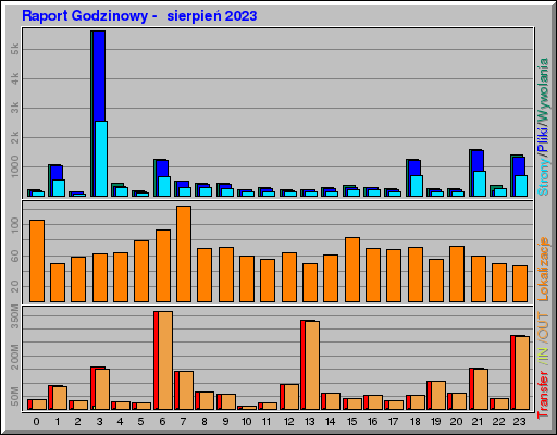 Raport Godzinowy -  sierpień 2023