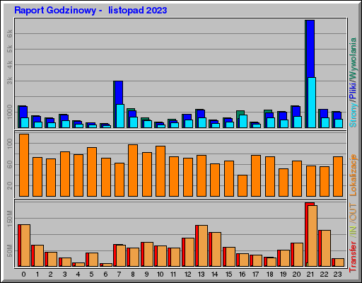 Raport Godzinowy -  listopad 2023