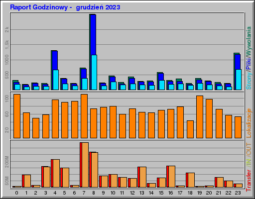 Raport Godzinowy -  grudzień 2023