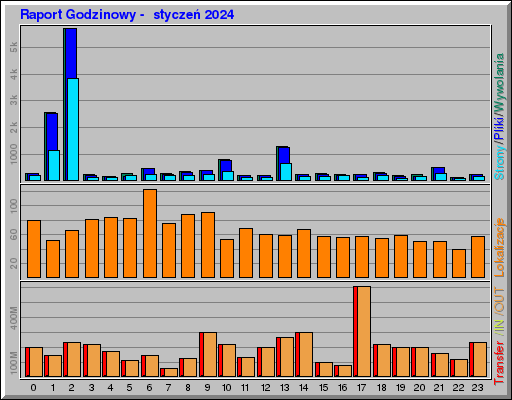 Raport Godzinowy -  styczeń 2024