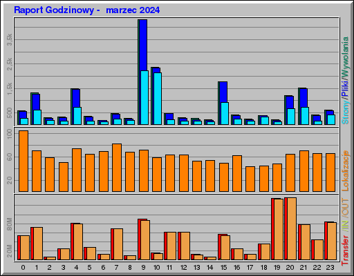 Raport Godzinowy -  marzec 2024