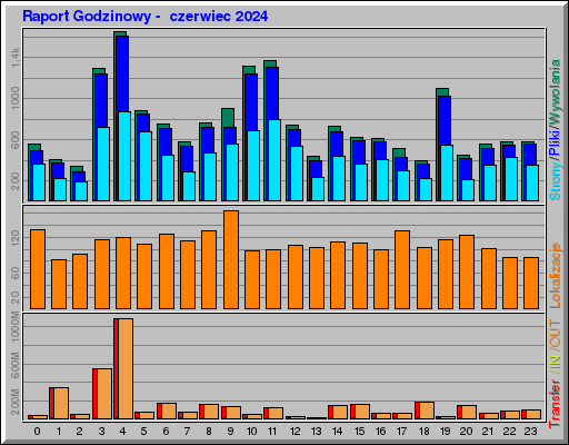 Raport Godzinowy -  czerwiec 2024