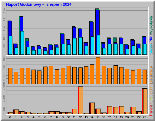 Raport Godzinowy -  sierpień 2024