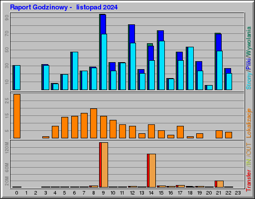 Raport Godzinowy -  listopad 2024