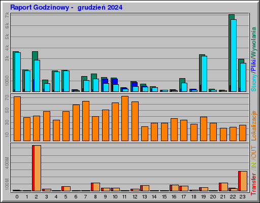 Raport Godzinowy -  grudzień 2024