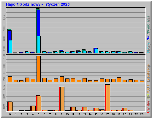 Raport Godzinowy -  styczeń 2025