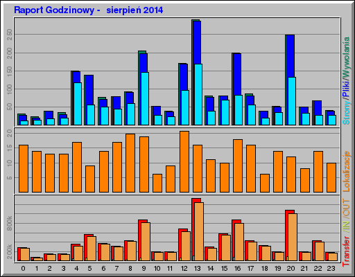 Raport Godzinowy -  sierpień 2014