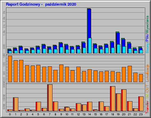 Raport Godzinowy -  październik 2020