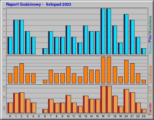 Raport Godzinowy -  listopad 2023