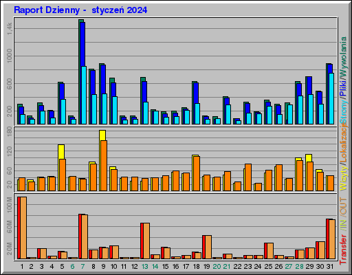 Raport Dzienny -  styczeń 2024