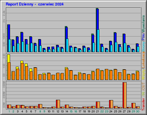 Raport Dzienny -  czerwiec 2024