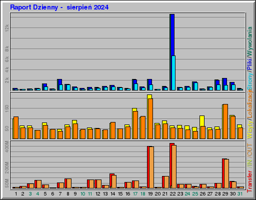 Raport Dzienny -  sierpień 2024