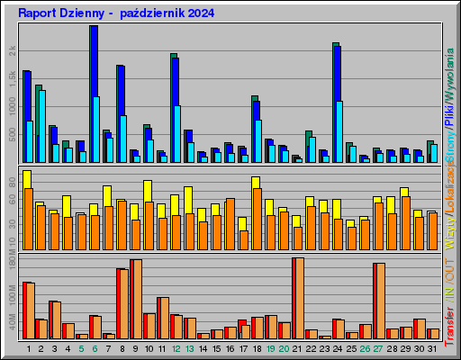 Raport Dzienny -  październik 2024