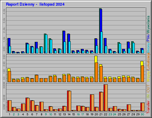 Raport Dzienny -  listopad 2024