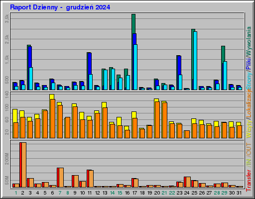 Raport Dzienny -  grudzień 2024