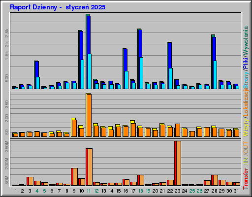 Raport Dzienny -  styczeń 2025