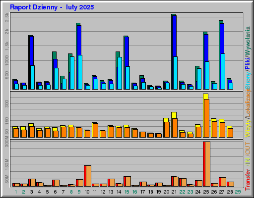 Raport Dzienny -  luty 2025